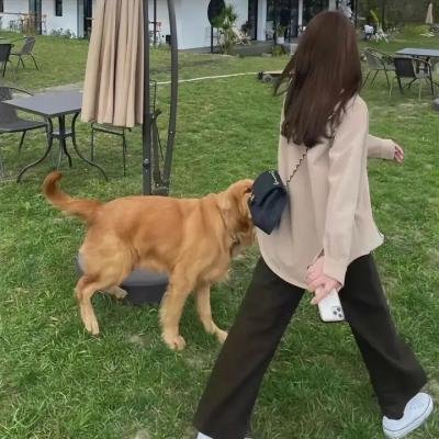 克雷格·布鲁